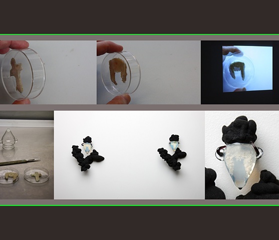 The Ephemeral Flesh Projects