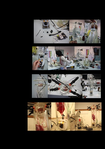 Creating the bioreactor at Symbiotica, with Industrial Designer Matt Johnson from the RCA, London.