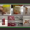 The Ephemeral Flesh Projects