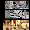 The Ephemeral Flesh Projects