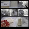 The ephemeral flesh projects