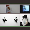 The Ephemeral Flesh Projects