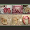The Ephemeral Flesh Projects