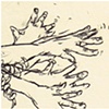 Moleskine 2007-2008