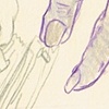 Finger Nails