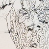Detail of Knifemare