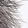 Hairy Situations