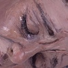 Detail of ...all in one