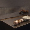 Installation Shot of NINCOMPOOP