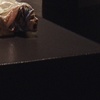 Installation Shot of NINCOMPOOP