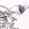 Spoonfed