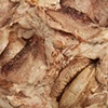 Detail of Open Up