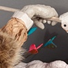 Detail of Pillow Talk