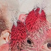 Detail of And Next, Next...Next...