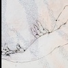 Detail of Knifemare