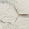 plexus: homo faber extrapolation (detail)