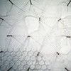 plexus: homo faber extrapolation (detail)