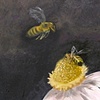 Paintings