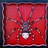 "Spider"