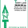 "ANT" Logo Creation