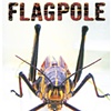 Flagpole Magazine Cover
Layout Design by Cindy Jerrell
Image by Cindy Jerrell