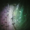Interior Detail of Untitled (Breathing)