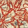 Ortensia