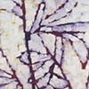 Rose of Sharon