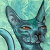 Cool Cat