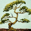 TreeTree
