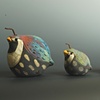 Quail covey