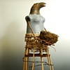 Empty Nest