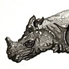 JAVAN RHINOCEROS