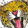 AMUR LEOPARD