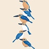 GUAM MICRONESIAN KINGFISHER