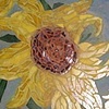 Sonflowers