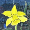 Daffodil