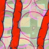 IV