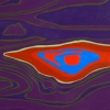 Night Patrol