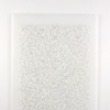 Untitled (fig. 10x9)