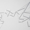 Snap, detail shot