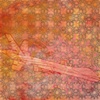 Untitled (from the Ol' McDonnell Douglas series)