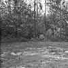 Hunter's Chair