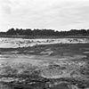 Dried Up Lake