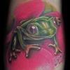 Tree Frog
