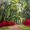 Canopy