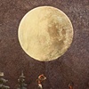 Moon Mission