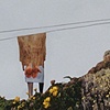 Clothesline