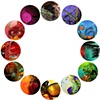I - XII, from the "dot dot dot" Series, 2010
archival pigment prints of digital collage,
12 collages each 11" diameter