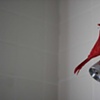 Bird - Bathroom